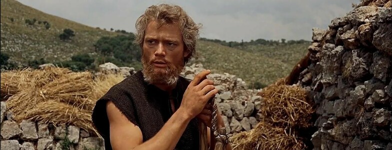 Essential Skills for the Open Air Life