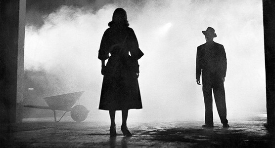 Protective Instincts and Their Impact