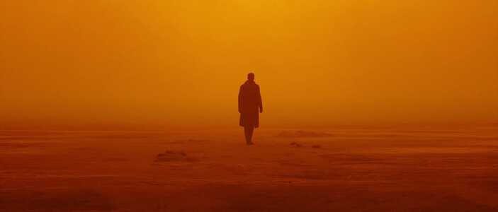 Why Individual Action Cannot Save the Planet: The Institutional Problem of Environmental Destruction