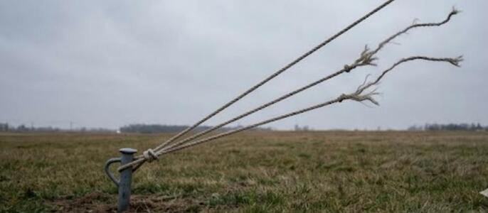 The Three Social Bonds That Prevent Violence